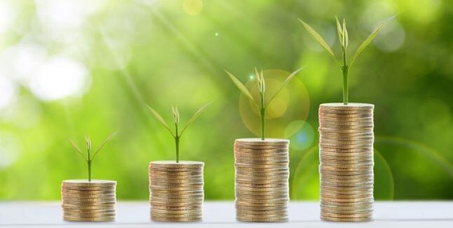 plants and stack of coins