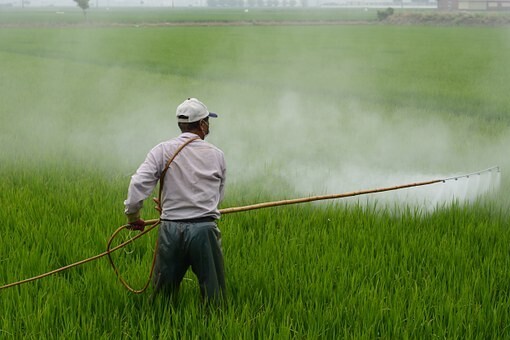 man spraying herbicide
