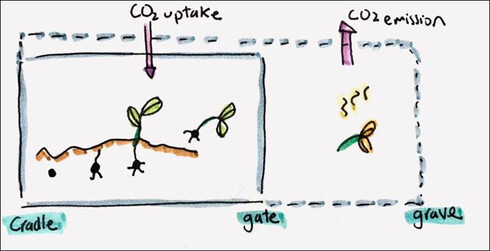 biogenic carbon process