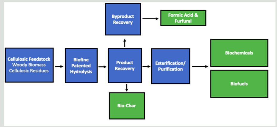 Figure 1 Biofine Process