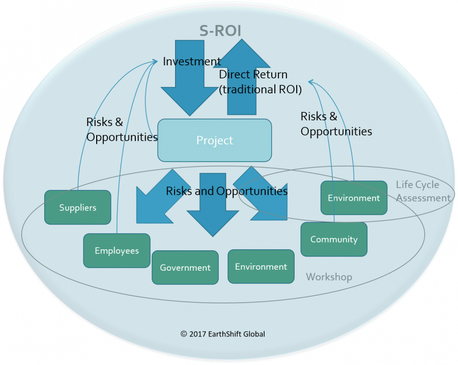 S-ROI diagram